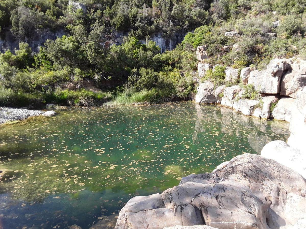 Les Terres Basses Hotell Fabrezan Exteriör bild